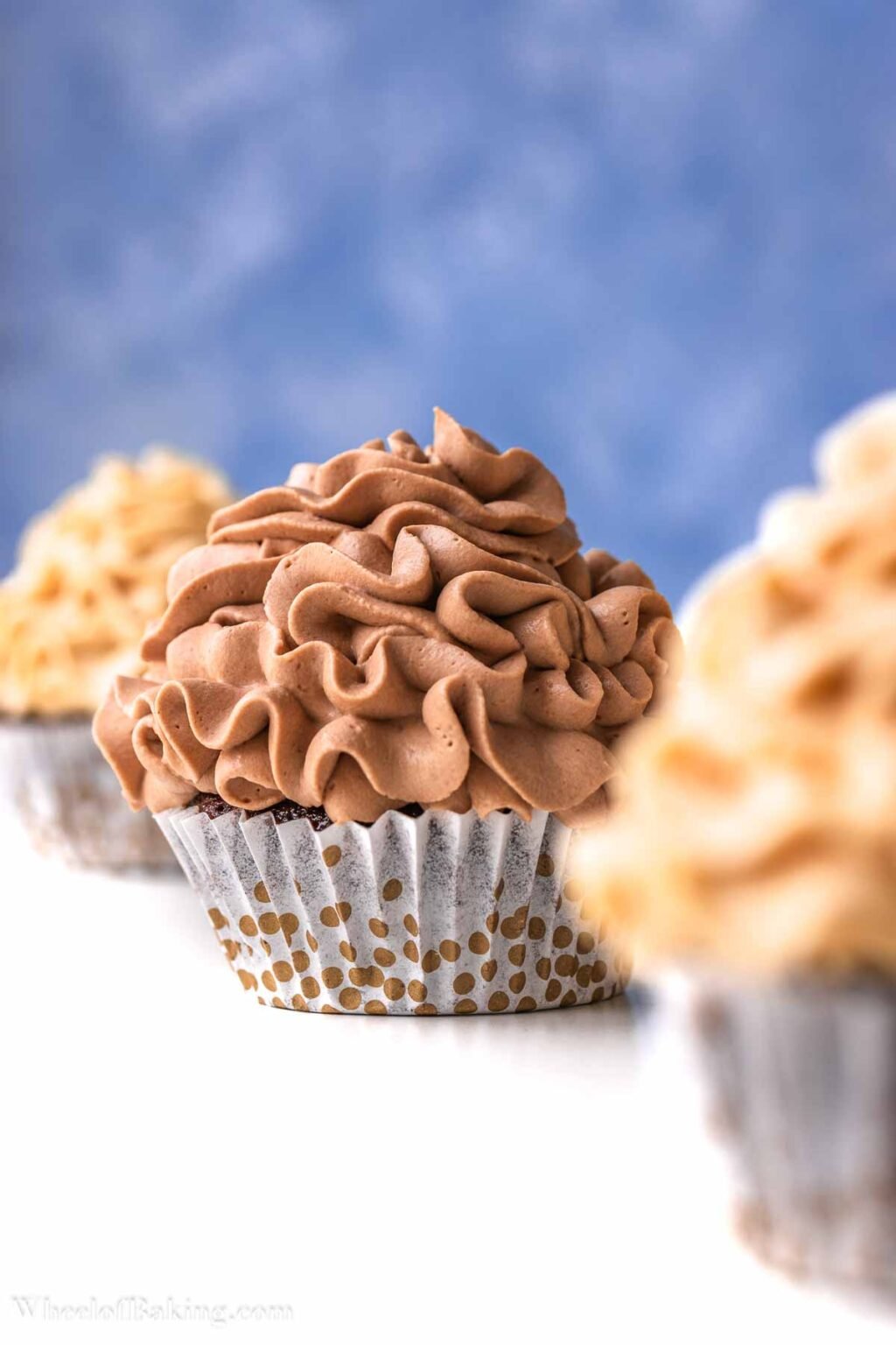 Caramel Ganache Wheel of Baking
