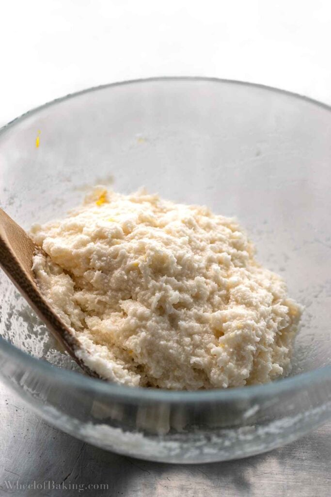 coconut-macaroons-without-condensed-milk-wheel-of-baking