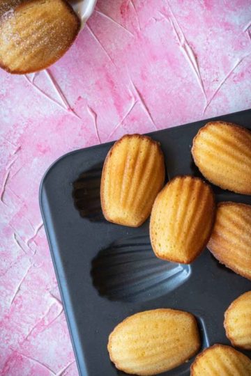 cropped-madeleines-conticini-26-1.jpg